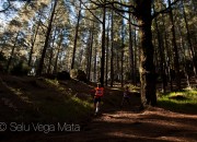 transvulcania-8