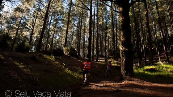 transvulcania-8